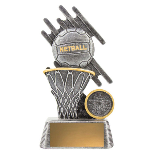 Zoom Theme Netball from $10.19