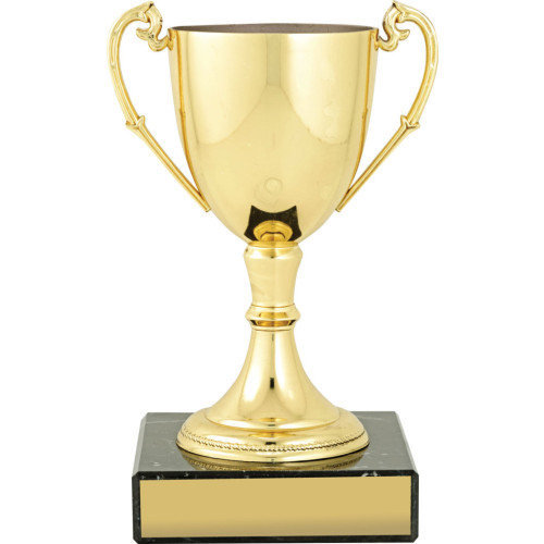 Nickel Plated Gold Cup from $26.99