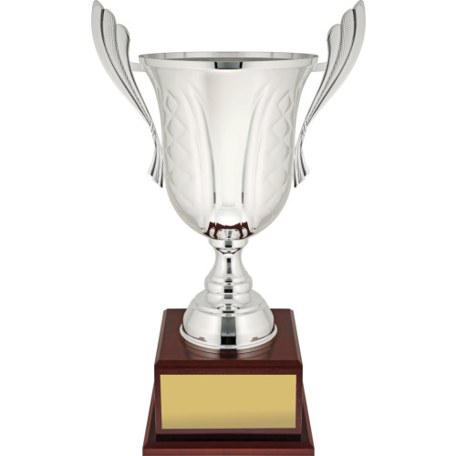 Celebration Silver from $225.24