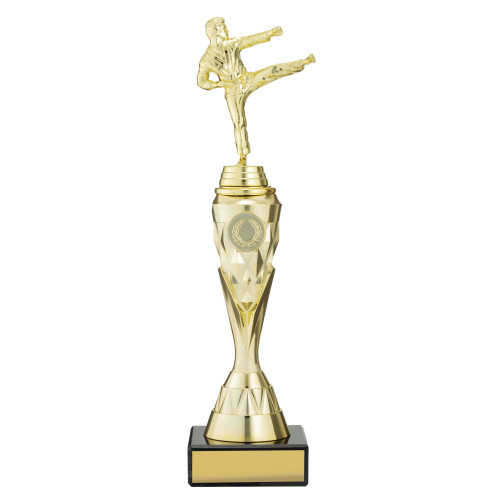 Gold Vector Martial Arts from $14.55