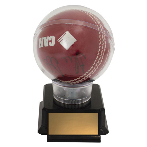 125mm Capsule Holder Cricket Ball Trophy from $9.32