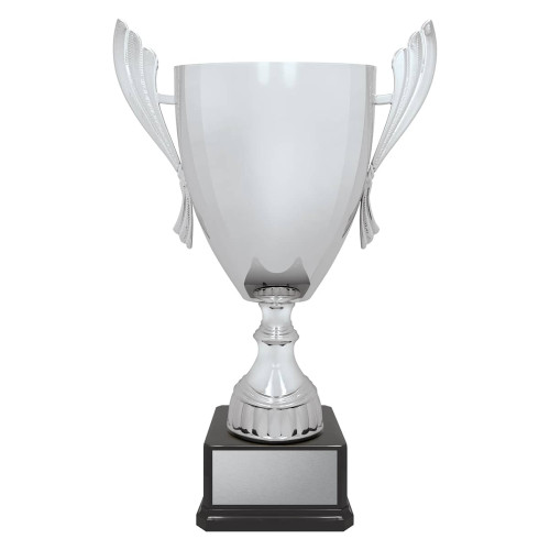 Ironside Cup - Silver