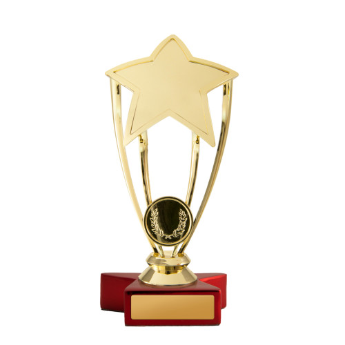 165MM Large Star from $8.82