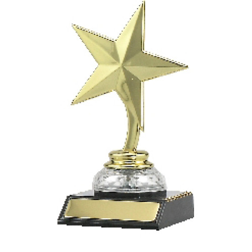 Star on Acrylic From $8.43