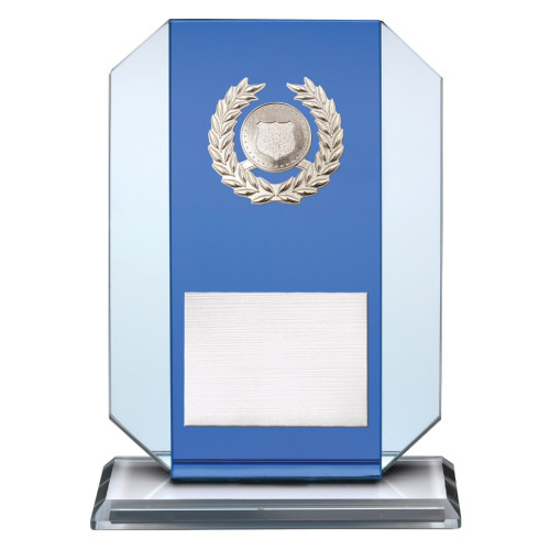 Blue Mirror Includes Logo from $17.99