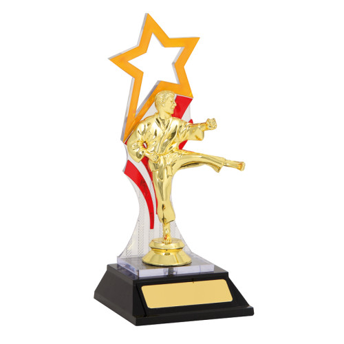 Karate Kick with Star From $9.49