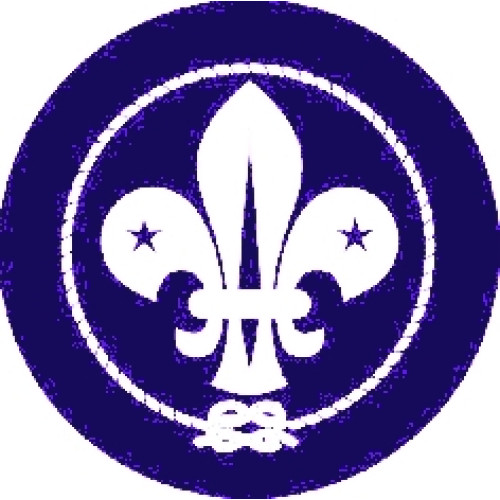 Scouts