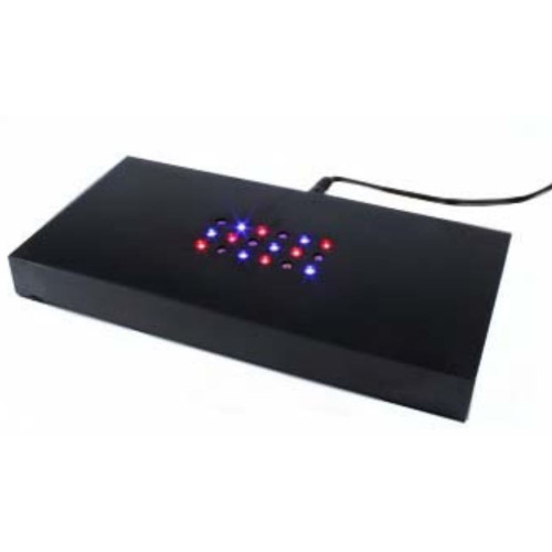 Light Base (coloured) Rectangle M