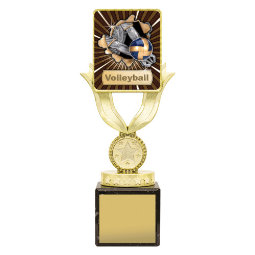 Lynx Sentry Volleyball from $8.42