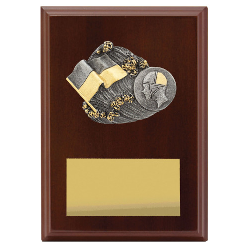 Plaque - Peak Lifesaving from $11.99