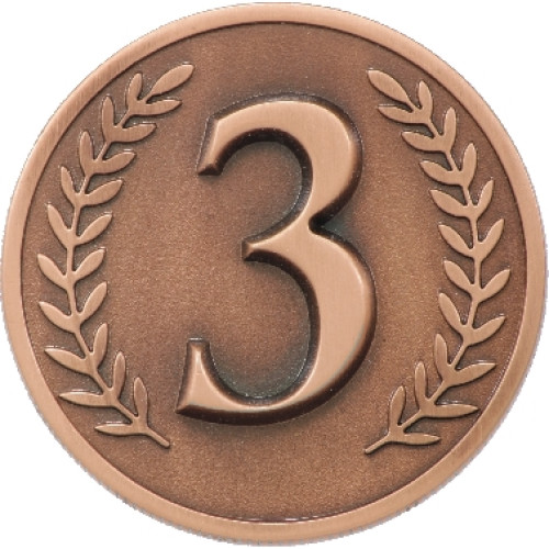 60mm Prestige 3rd Place Coin with Case