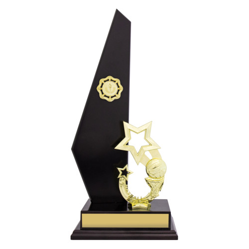 Netball Black Starboard from $31.69