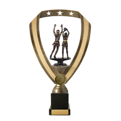 Dual Player Netball from $13.44