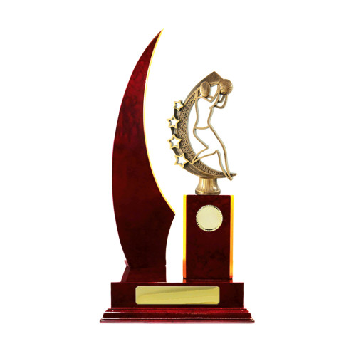 Single Crescent Timber Netball from $29.49