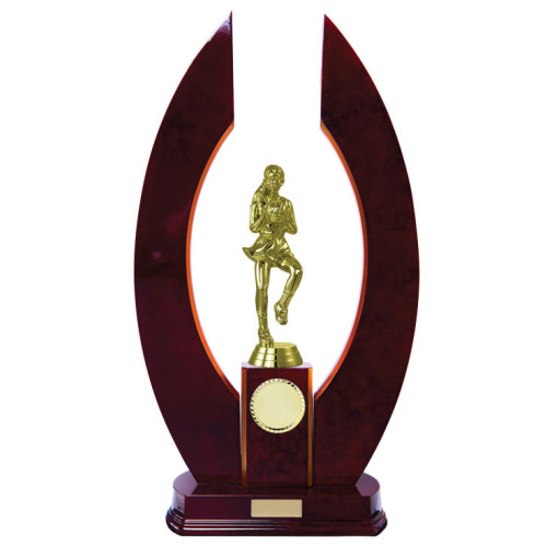 Horseshoe Timber Netball from $53.34