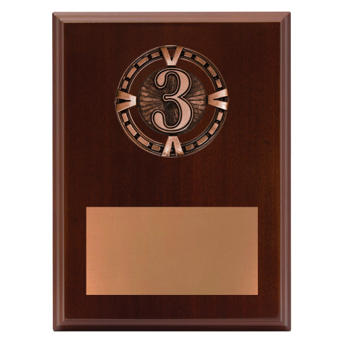 200mm Varsity 3rd Place Award Plaque from $17.09