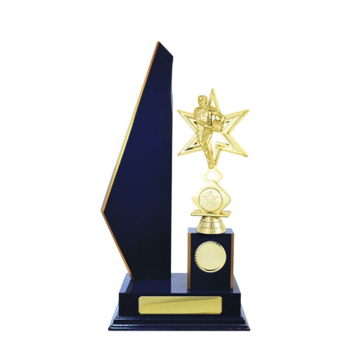 Single Wing Timber Rugby from $27.37