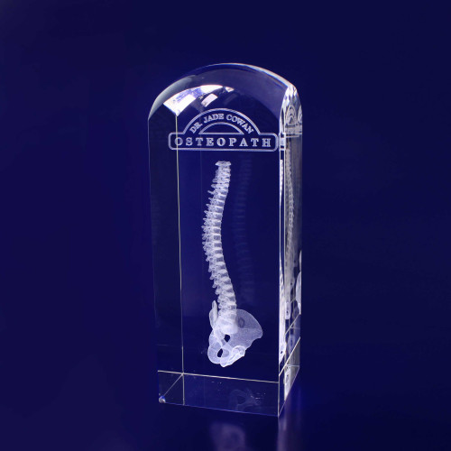 Crystal Rectangle Dome M