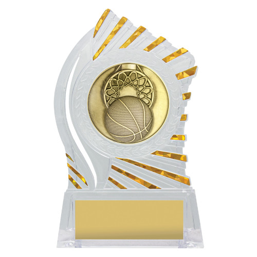 145MM Solar Basketball from $7.48