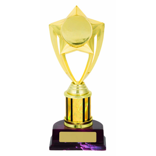 Gold Star on Column from $13.34