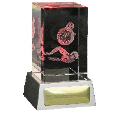 3D Crystal with Light 110mm