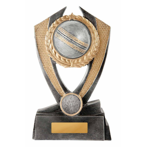 Hero Shield 2D Cricket Ball from $8.35