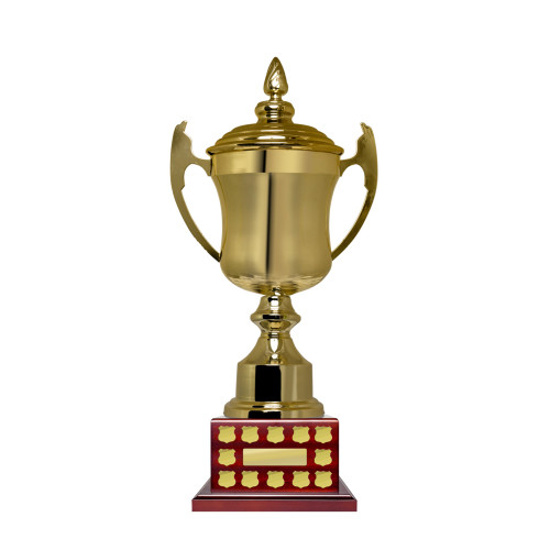 650mm Gold Finish Stan Cup from $169.40