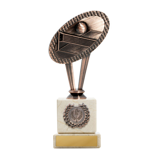 Metal Bronze Volleyball Theme from $9.02