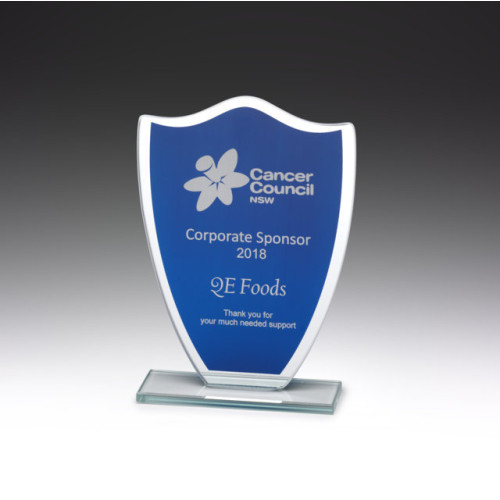 165MM Glass Blue Shield from $21