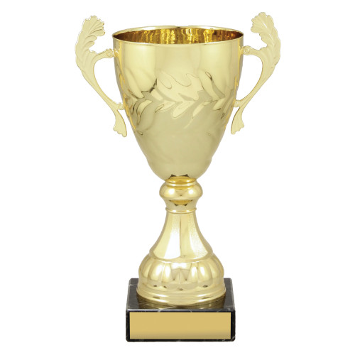 Gold Eternal Cups from $24.81