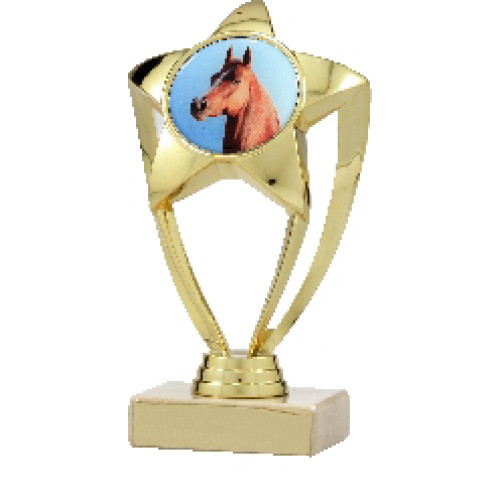 Shining Star with insert From $10.66