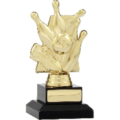 Theme on Risers From $9.10