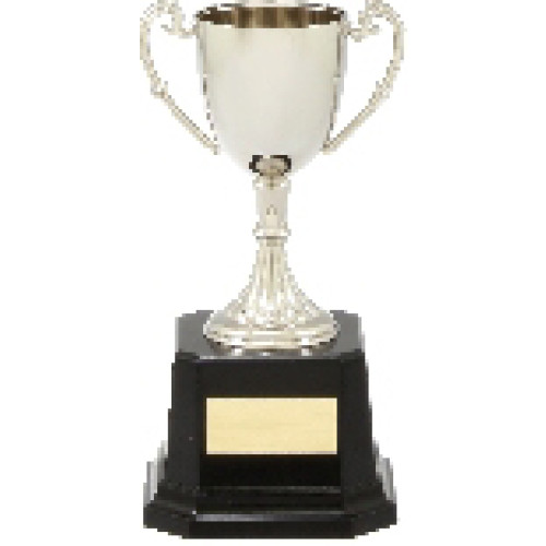 Silver Nickel Plated Cups From $81.29