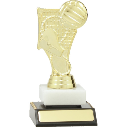 Volleyball Theme from $8.93