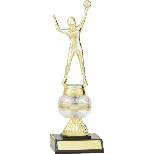 240mm Male or Female Volleyball on Clear Ball