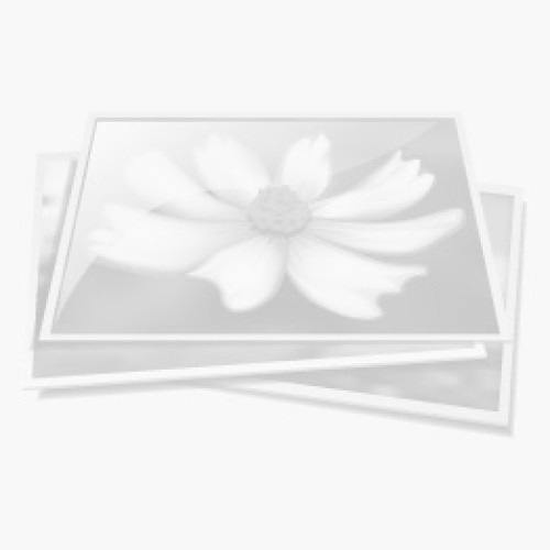 55mm Spark Shiny from $8.00