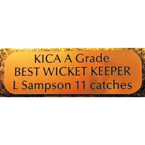 Trophy Plates Rounded or Square Corners