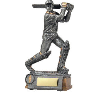 Silver Batsman From $13.78