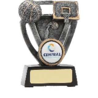 Ball and Hoop Shield with insert From $7.08