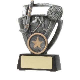 Hockey Shield From $7.08