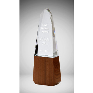 265MM Crystal Jarrah Obelisk from $74.64