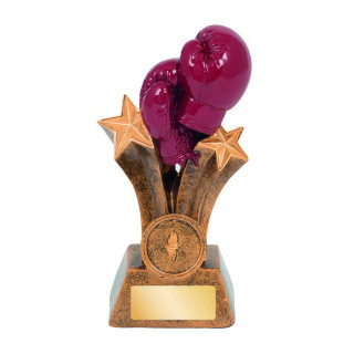 Boxing – Red Gloves/25mm Insert from $11.35