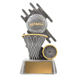 Zoom Theme Netball from $10.19