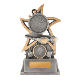 Silver Star Swimming from $9.69