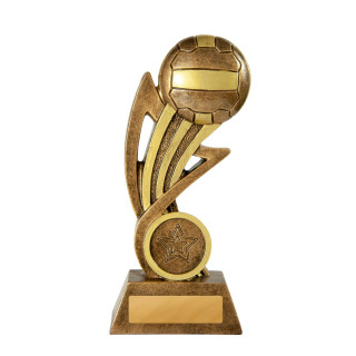 Arise Netball from $9.69