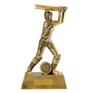 All Action Hero-Batsman Female from $12.47