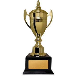 Valencia Cup in multiple colours from $121.10