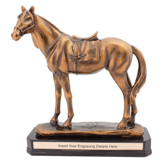 270MM Champion Bronze Track from $108.85