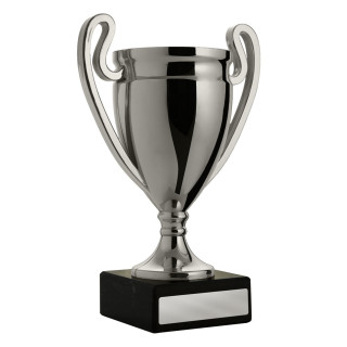 Silver Value Cup from $7.18