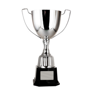 Victory Cup from $51.33